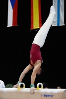 Thumbnail - Hungary - Artistic Gymnastics - 2019 - Austrian Future Cup - Participants 02036_20386.jpg