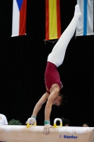Thumbnail - Adam Attila Dobrowitz - Gymnastique Artistique - 2019 - Austrian Future Cup - Participants - Hungary 02036_20387.jpg