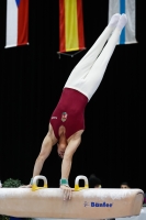 Thumbnail - Hungary - Спортивная гимнастика - 2019 - Austrian Future Cup - Participants 02036_20388.jpg
