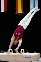 Thumbnail - Adam Attila Dobrowitz - Спортивная гимнастика - 2019 - Austrian Future Cup - Participants - Hungary 02036_20389.jpg