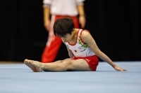 Thumbnail - Ritsuki Kuwabara - Gymnastique Artistique - 2019 - Austrian Future Cup - Participants - Japan 02036_20410.jpg