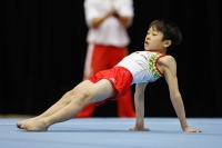 Thumbnail - Ritsuki Kuwabara - Gymnastique Artistique - 2019 - Austrian Future Cup - Participants - Japan 02036_20426.jpg