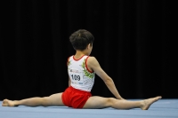 Thumbnail - Ritsuki Kuwabara - Gymnastique Artistique - 2019 - Austrian Future Cup - Participants - Japan 02036_20434.jpg