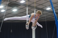 Thumbnail - Timofei Prostakov - Artistic Gymnastics - 2019 - Austrian Future Cup - Participants - Russia 02036_20541.jpg