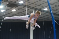 Thumbnail - Timofei Prostakov - Artistic Gymnastics - 2019 - Austrian Future Cup - Participants - Russia 02036_20542.jpg