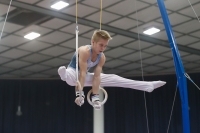 Thumbnail - Timofei Prostakov - Artistic Gymnastics - 2019 - Austrian Future Cup - Participants - Russia 02036_20543.jpg