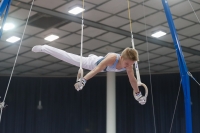 Thumbnail - Timofei Prostakov - Artistic Gymnastics - 2019 - Austrian Future Cup - Participants - Russia 02036_20550.jpg