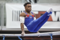 Thumbnail - Newport - Raekwon Baptiste - Ginnastica Artistica - 2019 - Austrian Future Cup - Participants - Great Britain 02036_20670.jpg