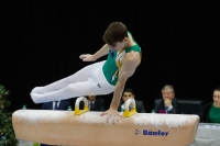 Thumbnail - Brooklyn Brougham - Artistic Gymnastics - 2019 - Austrian Future Cup - Participants - Australia 02036_20770.jpg