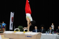 Thumbnail - Ryutaro Nakamura - Спортивная гимнастика - 2019 - Austrian Future Cup - Participants - Japan 02036_21137.jpg