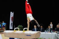Thumbnail - Ryutaro Nakamura - Спортивная гимнастика - 2019 - Austrian Future Cup - Participants - Japan 02036_21138.jpg