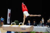 Thumbnail - Ryutaro Nakamura - Спортивная гимнастика - 2019 - Austrian Future Cup - Participants - Japan 02036_21139.jpg