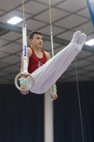 Thumbnail - Hungary - Artistic Gymnastics - 2019 - Austrian Future Cup - Participants 02036_21201.jpg