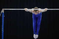 Thumbnail - Great Britain - Artistic Gymnastics - 2019 - Austrian Future Cup - Participants 02036_21296.jpg