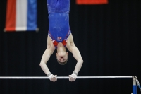 Thumbnail - Great Britain - Artistic Gymnastics - 2019 - Austrian Future Cup - Participants 02036_21308.jpg
