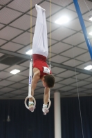 Thumbnail - Hungary - Gymnastique Artistique - 2019 - Austrian Future Cup - Participants 02036_21379.jpg