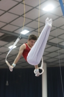 Thumbnail - Hungary - Gymnastique Artistique - 2019 - Austrian Future Cup - Participants 02036_21380.jpg