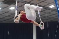 Thumbnail - Hungary - Artistic Gymnastics - 2019 - Austrian Future Cup - Participants 02036_21500.jpg