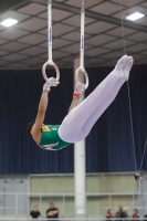 Thumbnail - Alan Osman - Artistic Gymnastics - 2019 - Austrian Future Cup - Participants - Australia 02036_21650.jpg