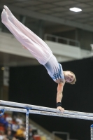Thumbnail - Timofei Prostakov - Artistic Gymnastics - 2019 - Austrian Future Cup - Participants - Russia 02036_22116.jpg