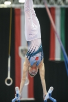 Thumbnail - Savelii Sorochenko - Artistic Gymnastics - 2019 - Austrian Future Cup - Participants - Russia 02036_22223.jpg