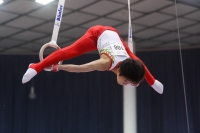 Thumbnail - Haruki Fukubayashi, - Спортивная гимнастика - 2019 - Austrian Future Cup - Participants - Japan 02036_22241.jpg