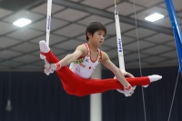Thumbnail - Haruki Fukubayashi, - Спортивная гимнастика - 2019 - Austrian Future Cup - Participants - Japan 02036_22246.jpg
