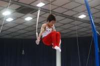Thumbnail - Haruki Fukubayashi, - Спортивная гимнастика - 2019 - Austrian Future Cup - Participants - Japan 02036_22249.jpg