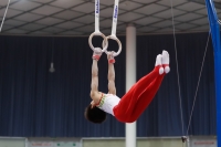 Thumbnail - Japan - Gymnastique Artistique - 2019 - Austrian Future Cup - Participants 02036_22269.jpg