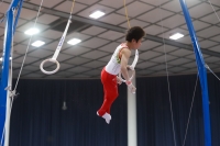 Thumbnail - Haruki Fukubayashi, - Спортивная гимнастика - 2019 - Austrian Future Cup - Participants - Japan 02036_22271.jpg