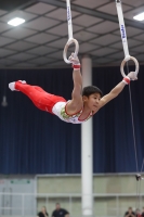 Thumbnail - Ryutaro Nakamura - Спортивная гимнастика - 2019 - Austrian Future Cup - Participants - Japan 02036_22352.jpg