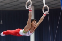Thumbnail - Ryutaro Nakamura - Спортивная гимнастика - 2019 - Austrian Future Cup - Participants - Japan 02036_22353.jpg