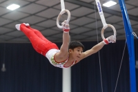 Thumbnail - Ryutaro Nakamura - Спортивная гимнастика - 2019 - Austrian Future Cup - Participants - Japan 02036_22358.jpg