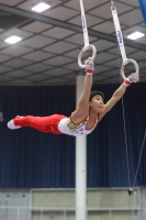 Thumbnail - Ryutaro Nakamura - Спортивная гимнастика - 2019 - Austrian Future Cup - Participants - Japan 02036_22359.jpg