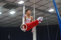 Thumbnail - Japan - Спортивная гимнастика - 2019 - Austrian Future Cup - Participants 02036_22368.jpg