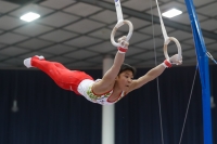 Thumbnail - Ryutaro Nakamura - Спортивная гимнастика - 2019 - Austrian Future Cup - Participants - Japan 02036_22371.jpg