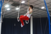 Thumbnail - Japan - Artistic Gymnastics - 2019 - Austrian Future Cup - Participants 02036_22373.jpg