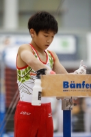 Thumbnail - Japan - Спортивная гимнастика - 2019 - Austrian Future Cup - Participants 02036_22387.jpg