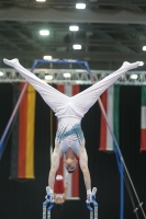 Thumbnail - Iurii Busse - Gymnastique Artistique - 2019 - Austrian Future Cup - Participants - Russia 02036_22404.jpg