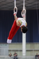 Thumbnail - Japan - Gymnastique Artistique - 2019 - Austrian Future Cup - Participants 02036_22415.jpg