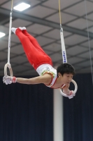 Thumbnail - Ichita Suzuki - Gymnastique Artistique - 2019 - Austrian Future Cup - Participants - Japan 02036_22420.jpg