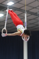 Thumbnail - Ichita Suzuki - Gymnastique Artistique - 2019 - Austrian Future Cup - Participants - Japan 02036_22421.jpg