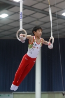 Thumbnail - Japan - Gymnastique Artistique - 2019 - Austrian Future Cup - Participants 02036_22426.jpg