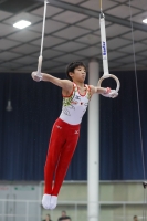 Thumbnail - Japan - Gymnastique Artistique - 2019 - Austrian Future Cup - Participants 02036_22427.jpg