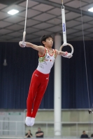 Thumbnail - Japan - Спортивная гимнастика - 2019 - Austrian Future Cup - Participants 02036_22428.jpg