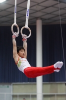 Thumbnail - Japan - Gymnastique Artistique - 2019 - Austrian Future Cup - Participants 02036_22437.jpg