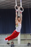 Thumbnail - Japan - Gymnastique Artistique - 2019 - Austrian Future Cup - Participants 02036_22438.jpg