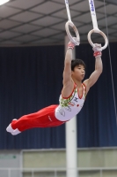 Thumbnail - Japan - Gymnastique Artistique - 2019 - Austrian Future Cup - Participants 02036_22439.jpg