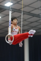 Thumbnail - Japan - Gymnastique Artistique - 2019 - Austrian Future Cup - Participants 02036_22447.jpg