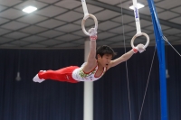 Thumbnail - Japan - Gymnastique Artistique - 2019 - Austrian Future Cup - Participants 02036_22454.jpg